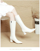 2025 novo outono inverno quente senhora sapatos confortáveis salto grosso apontou toe cor sólida jackboot salto alto feminino joelho-botas altas