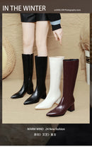 2025 novo outono inverno quente senhora sapatos confortáveis salto grosso apontou toe cor sólida jackboot salto alto feminino joelho-botas altas