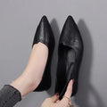 Sapatos Femininos de Bico Fino e Sola Baixa, Elegantes e Confortáveis, Estilo Coreano para Uso Diário na Primavera e Outono
